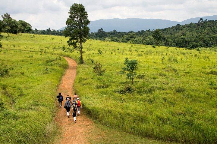 From Bangkok: Khao Yai UNESCO Park Full Day with Entrance Fee