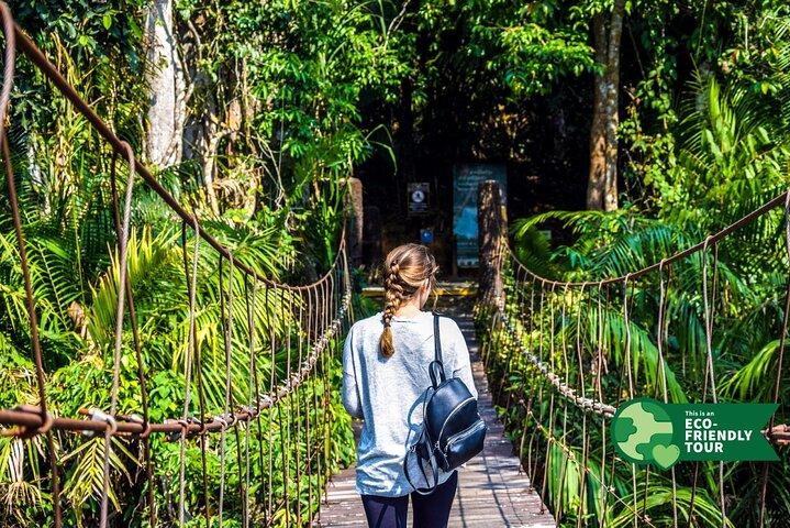 From Bangkok: Khao Yai UNESCO Park Full Day with Entrance Fee
