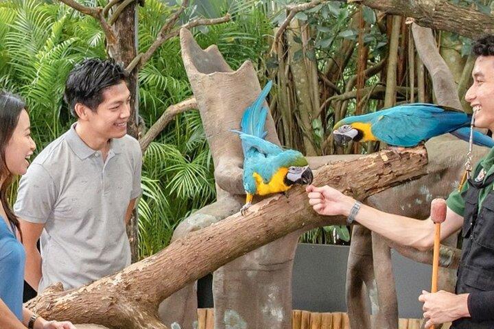Breakfast In the Wild at Singapore Zoo