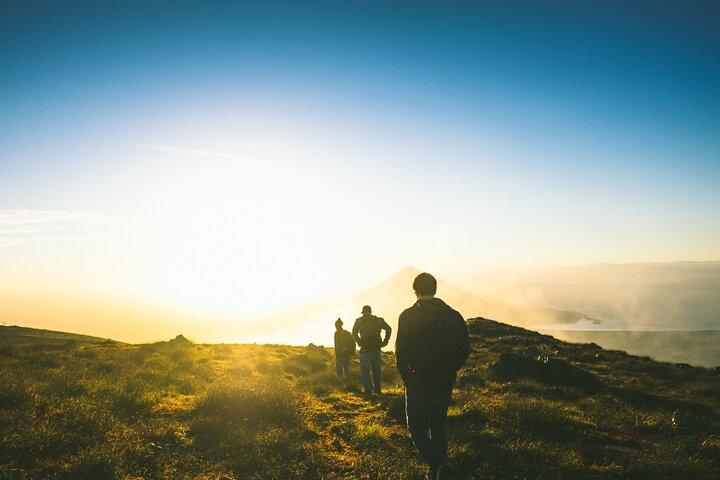 Cameron Highlands Tour From Kuala Lumpur (Private Tour)