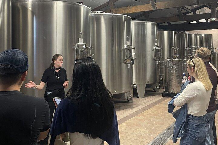 Saint-Émilion & Pomerol Wine Tour: Fine Wines