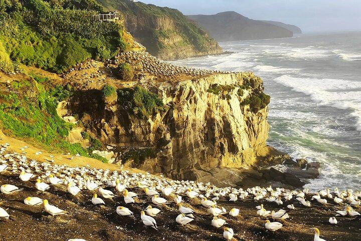 12 Day New Zealand Private Tour from Auckland to Queenstown