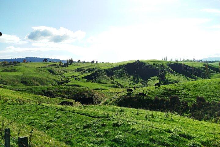 12 Day New Zealand Private Tour from Auckland to Queenstown