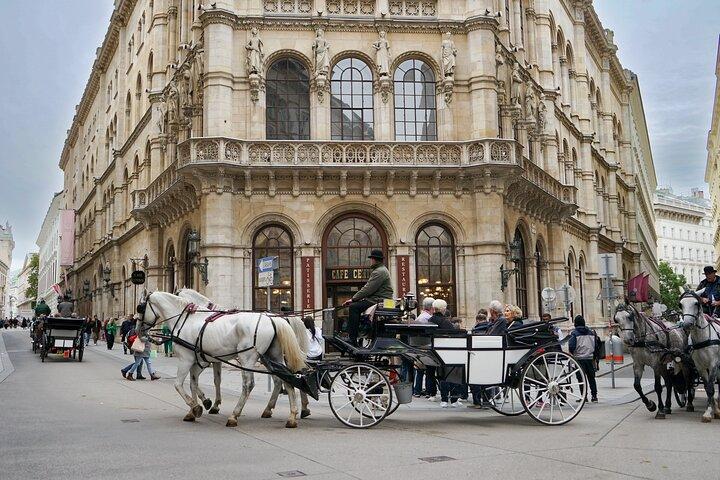 Guided Walking Tour of Vienna City Center Highlights