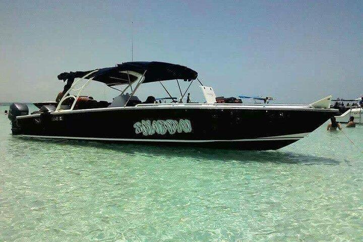 Swim with Whale Sharks Private tour from Playa del Carmen