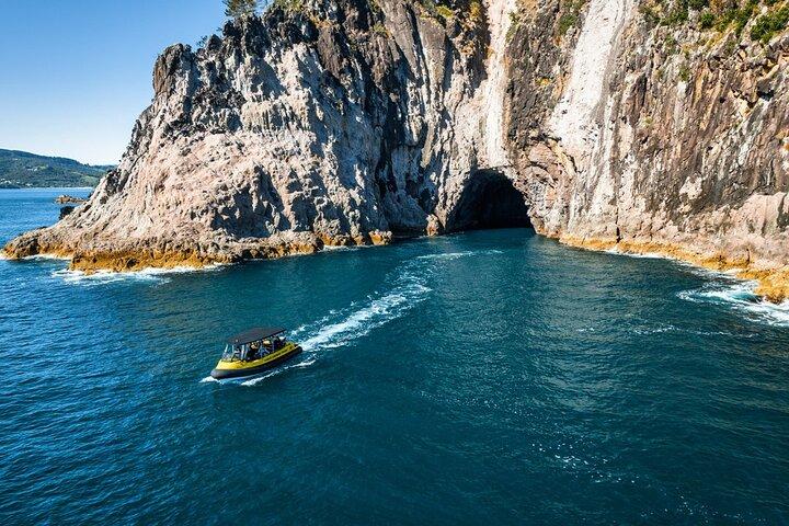 2 Hour Cathedral Cove and Volcanic Coast Cruise with Shade Canopy