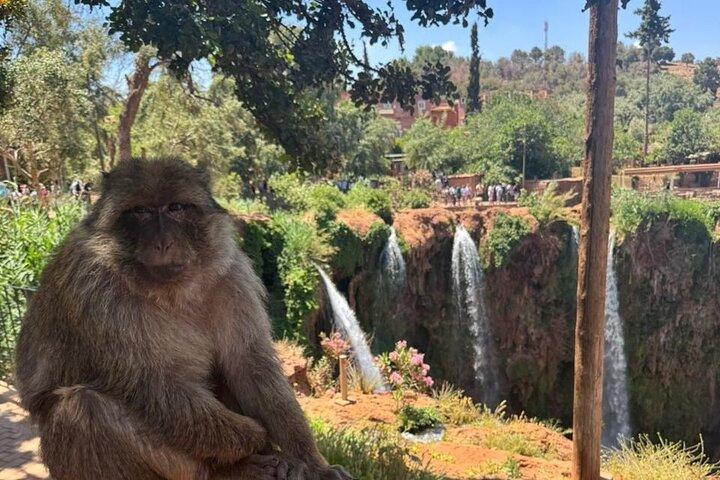 Ouzoud Waterfalls One Day Trip