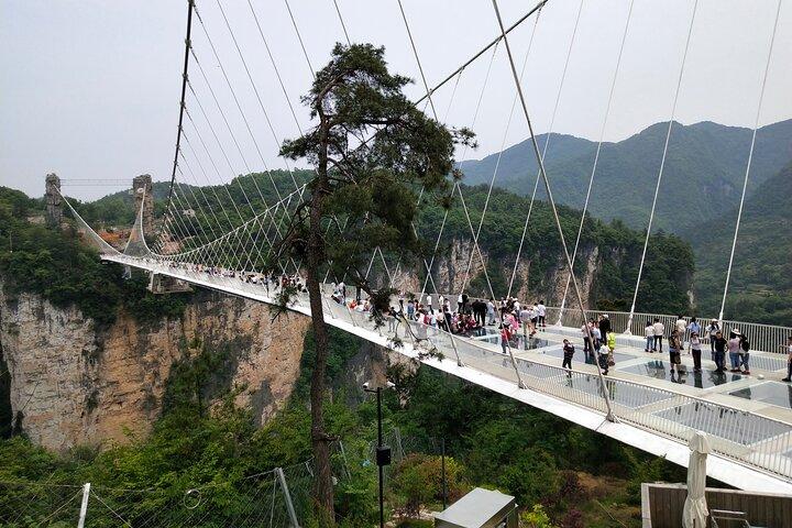 Zhangjiajie Glass Bridge and Grand Canyon Tickets Booking