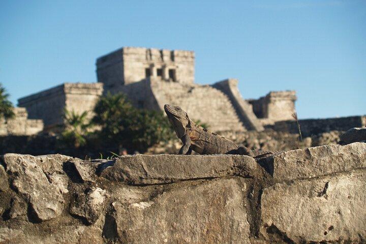 Tulum Highlights Early Easy and Crowd Free