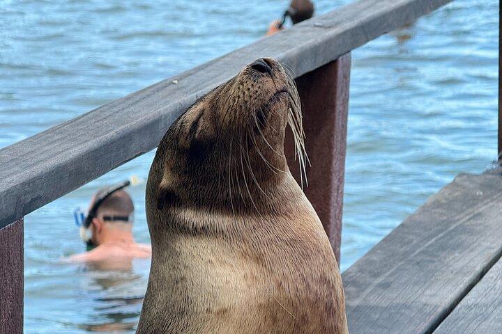5 Days Tour to Explore Santa Cruz ,Isabela and Santa Fe Galapagos