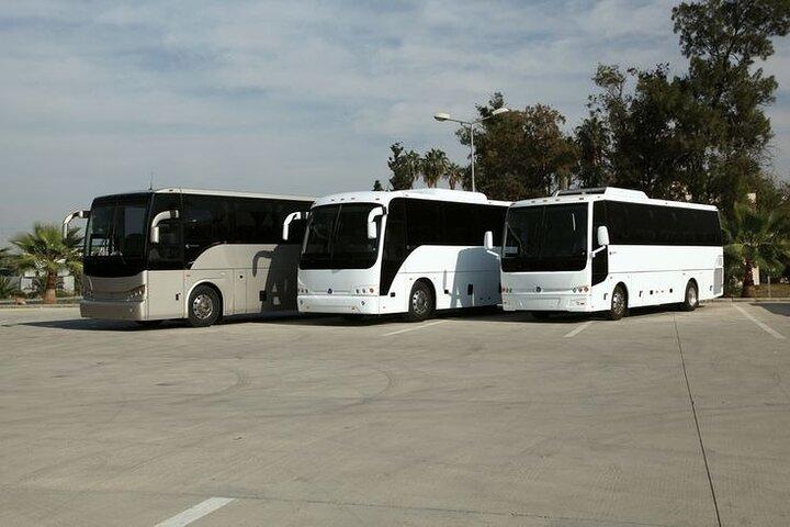 Private Cruise Port Transfer from MIA Airport or Any Miami Hotel