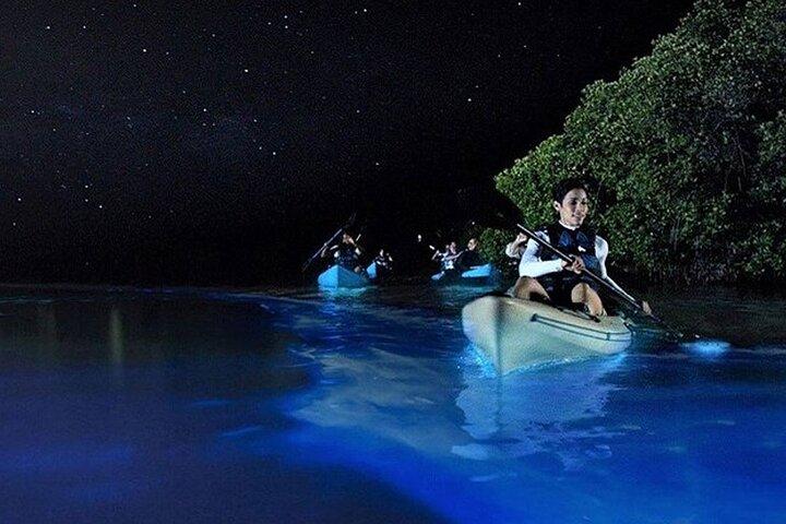 Holbox Bioluminescence: Night Kayak & Stargazing Eco Tour
