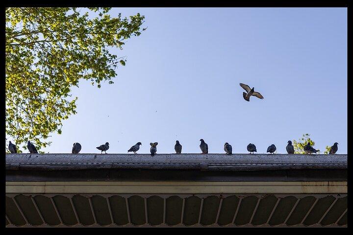 Photograph Istanbul