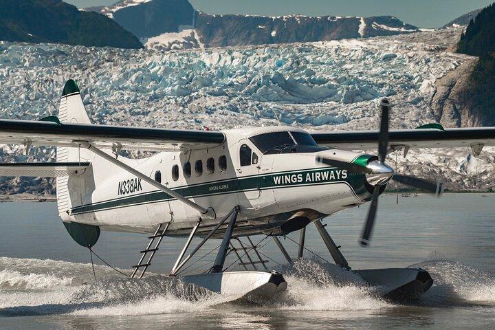 Taku Lodge Feast & 5-Glacier Seaplane Discovery