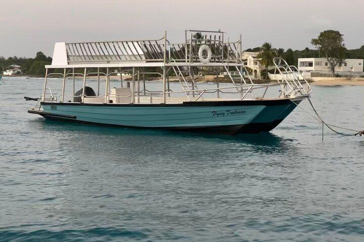 Wild Turtles & Shipwreck Snorkeling Cruise Experience In Barbados