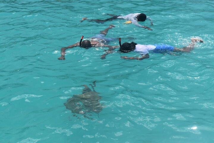 Wild Turtles & Shipwreck Snorkeling Cruise Experience In Barbados