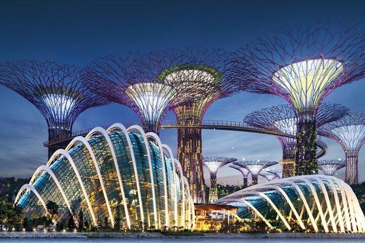 Private Memorable Night City Tour in Singapore with River Cruise