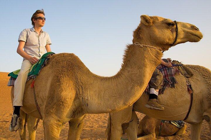 Dubai Morning Safari with 25 Mints Camel ride & Sand Boarding