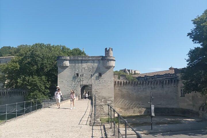 Private tour in Avignon and Pont du Gard