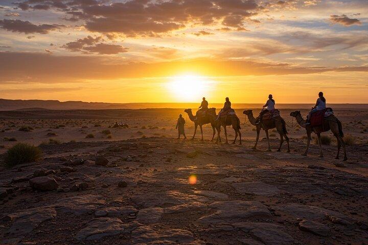 Marrakech Agafay Desert Quad Bike and Camel Ride with Dinner Show