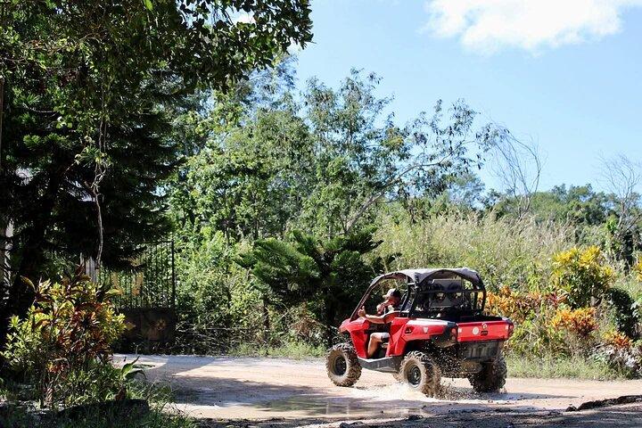 Jungle Buggy Day Tour