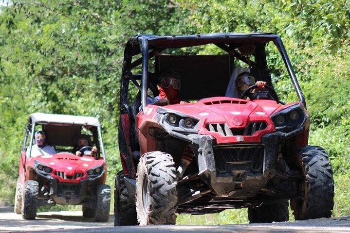 Jungle Buggy Day Tour