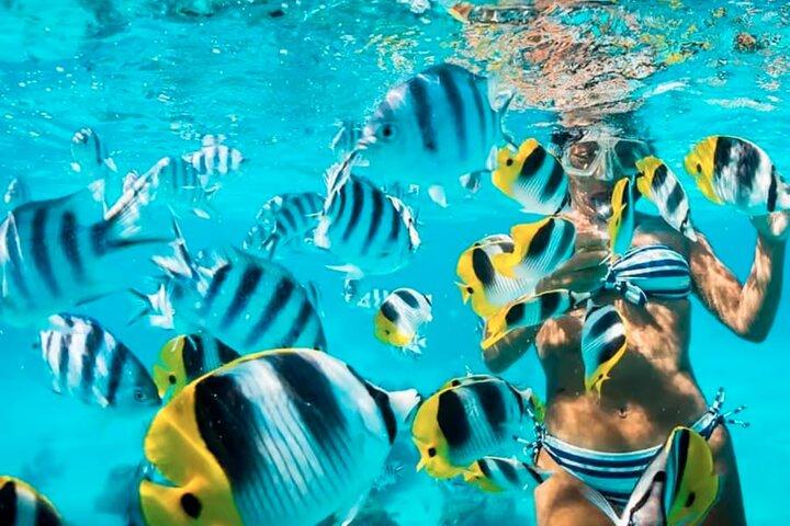 Cartagena 5 Island Hop Tour: Lunch, Snorkel, Beach Clubs, & More