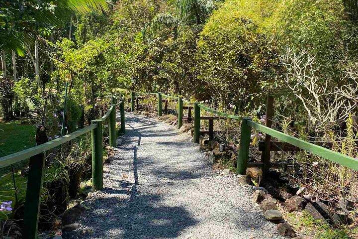 Nadi Half Day Highlights Tour