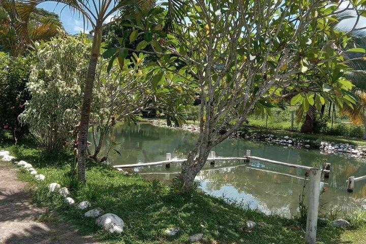 Nadi Half Day Highlights Tour