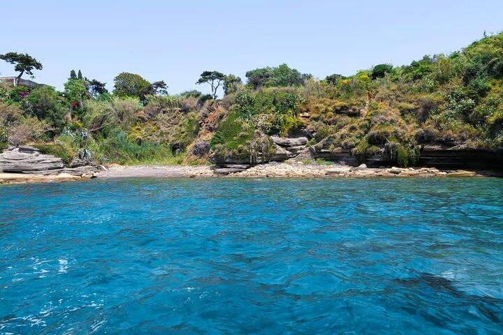 From Naples to Procida: Full-Day Boat Trip to the Island & Bays