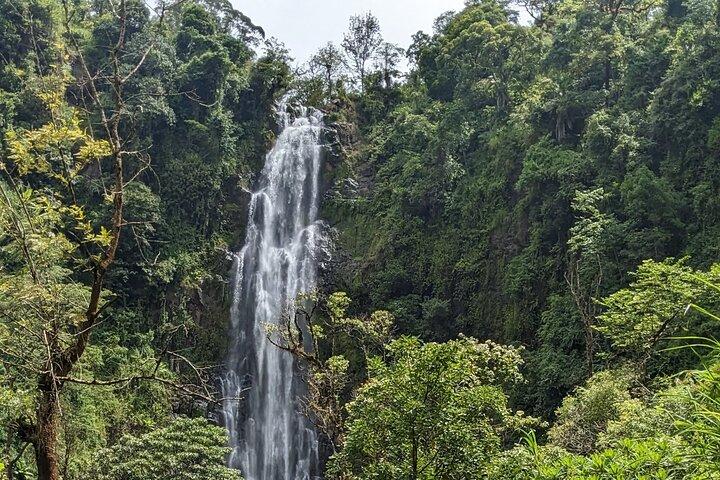A Day at Materuni Waterfalls and Coffee Tour in Mt Kilimanjaro