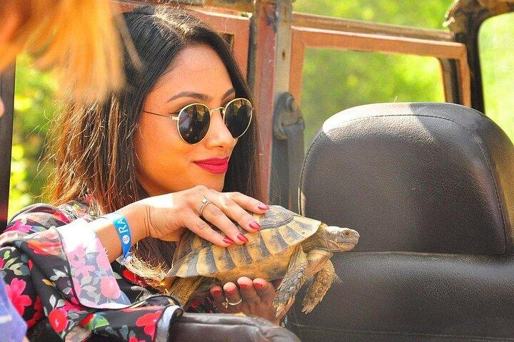 Bodrum Full-Day Jeep Safari Tour with Lunch, Hotel Pickup