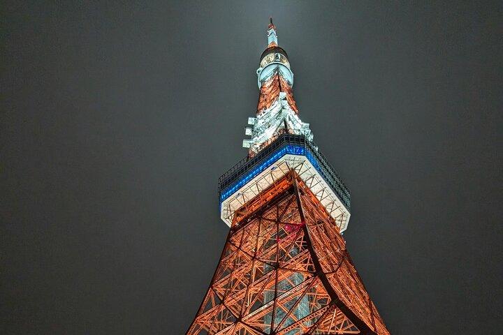 Tokyo After Dark Scenic Night Tour