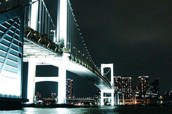 Tokyo After Dark Scenic Night Tour