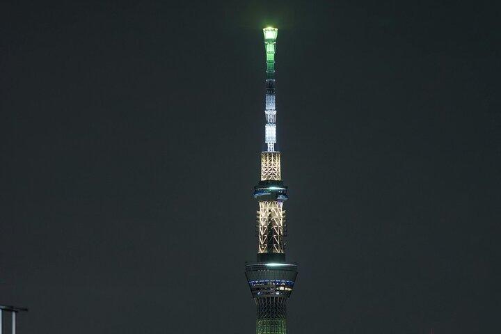Tokyo After Dark Scenic Night Tour