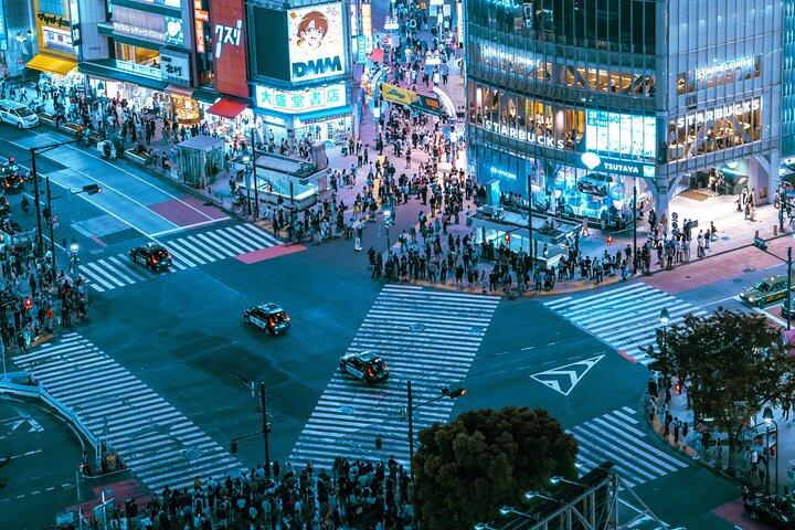 Tokyo After Dark Scenic Night Tour