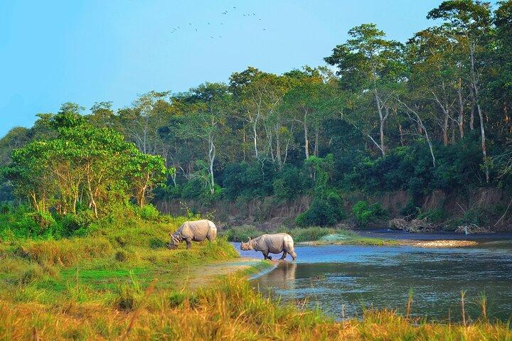 Kathmandu: 3 Days Chitwan Jungle Safari Private Tour