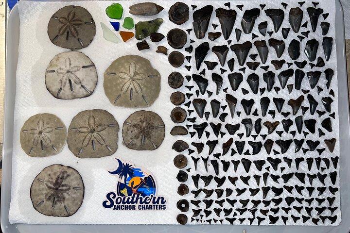 Charleston/Folly Beach Shark Tooth and fossil Island Drop off
