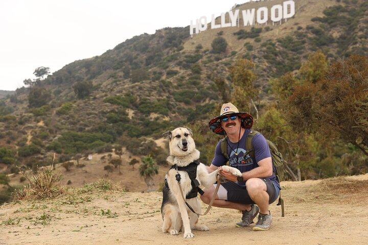 Hollywood Sign 2.5-Hour Tour with Comedians and Their Dogs