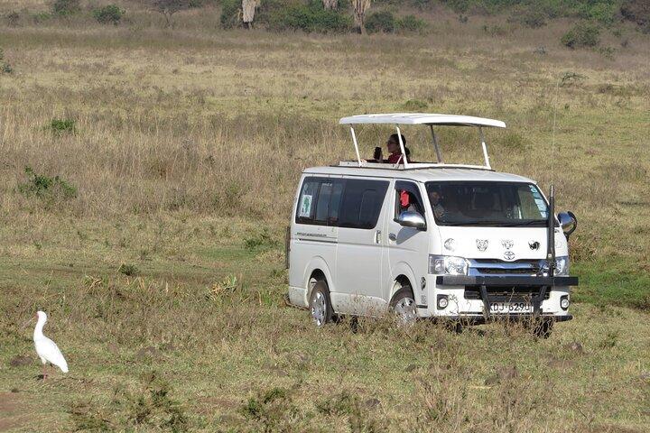 Mombasa & Diani: Group Day Trips to Tsavo Park