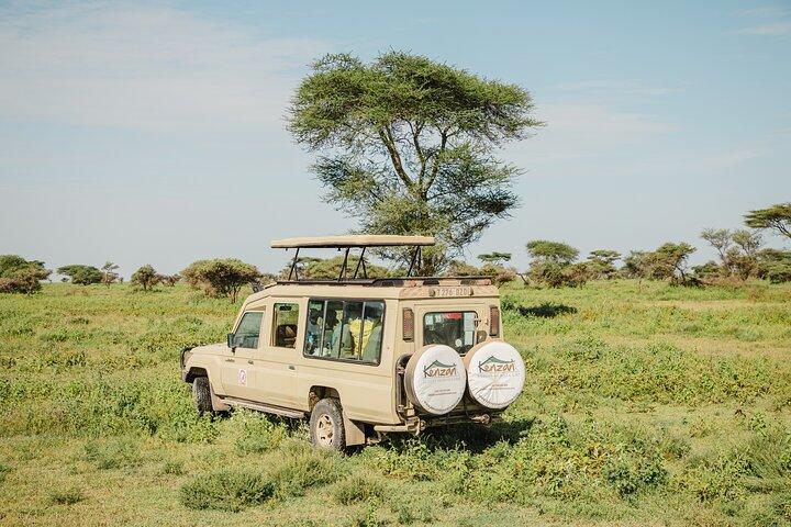 Private 4-Day Wildlife Encounter in Tanzania