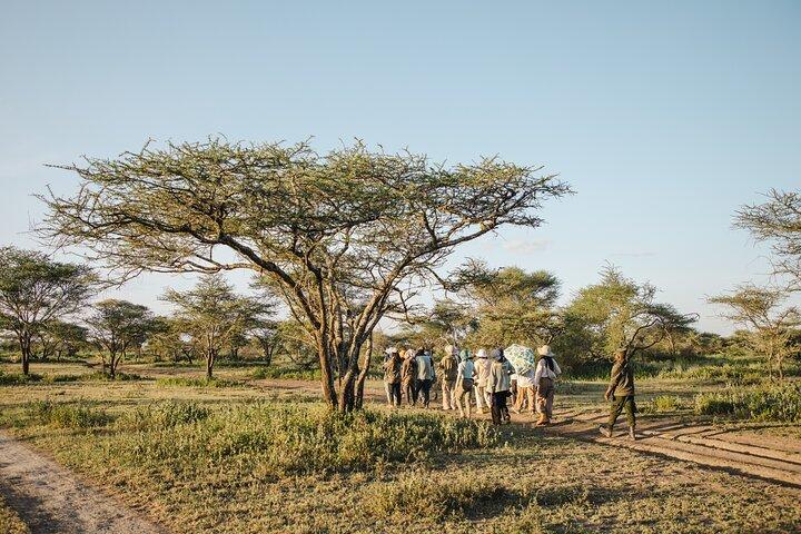 Private 4-Day Wildlife Encounter in Tanzania