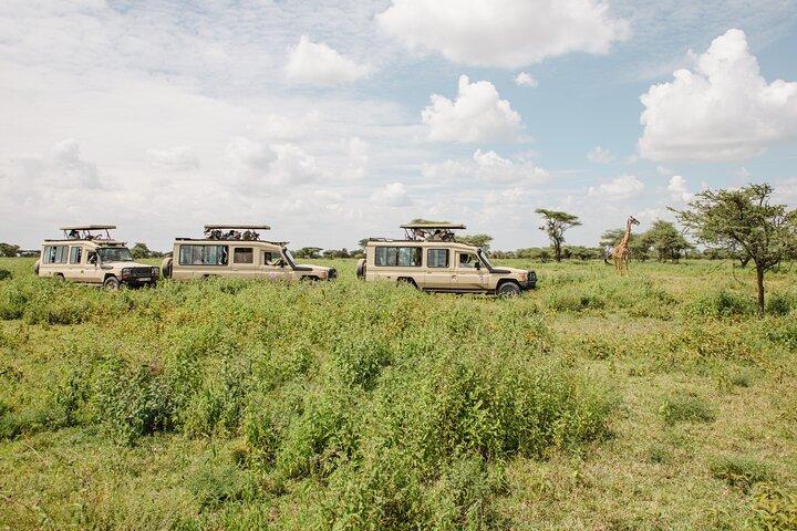 Private 4-Day Wildlife Encounter in Tanzania