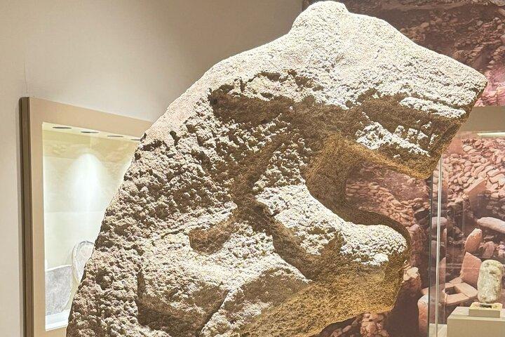 Göbeklitepe Tour from Istanbul by Flight
