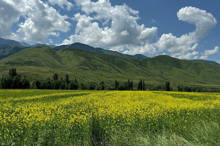 Day Tour to Burana Tower and Chon Kemin Valley from Bishkek