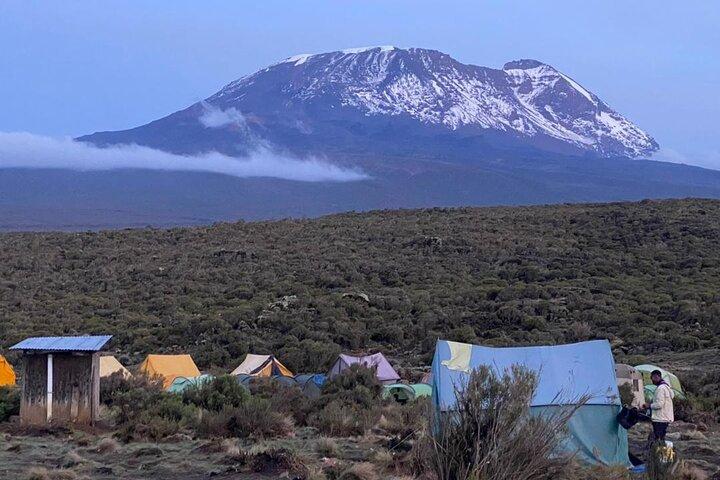 Mt Kilimanjaro Private 7 Day Climb Adventure