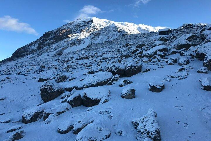 Mt Kilimanjaro Private 7 Day Climb Adventure