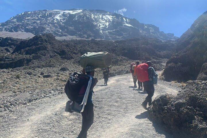 Mt Kilimanjaro Private 7 Day Climb Adventure