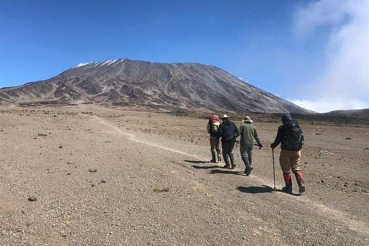 Mt Kilimanjaro Private 7 Day Climb Adventure