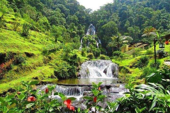 2-Day Tour at the Salento Cocora Thermal Coffee Shop